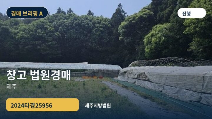 제주 창고 법원경매 | 2024타경25956