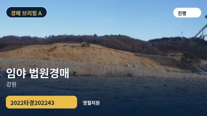 강원 임야 법원경매 | 2022타경202243