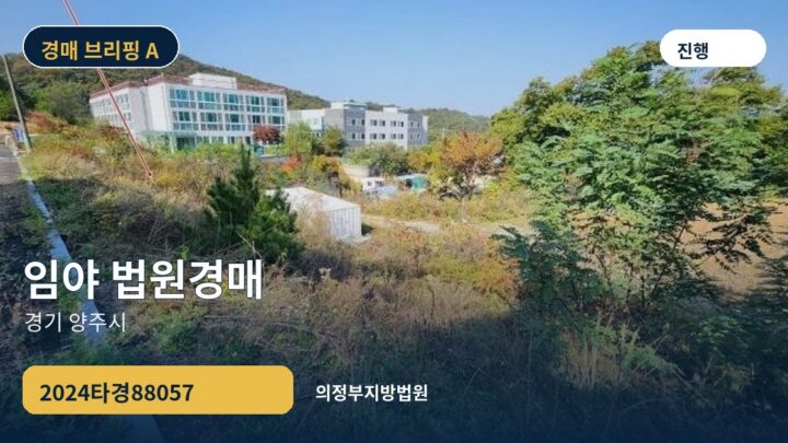 경기 양주시 임야 법원경매 | 2024타경88057