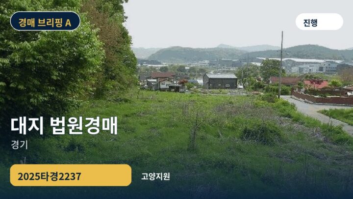 경기 대지 법원경매 | 2025타경2237